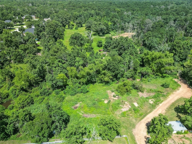 13211 Kidd Rd, Conroe, TX 77302 - photo 5
