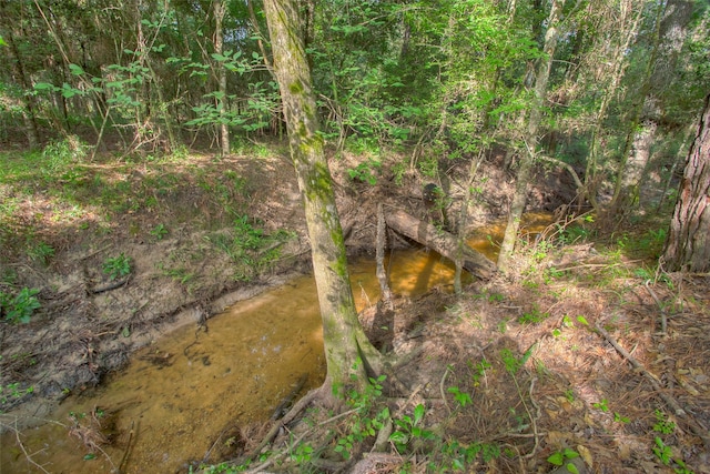 TBD Dahlia Rd, Huntsville, TX 77320 - photo 7