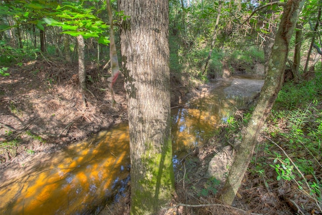 TBD Dahlia Rd, Huntsville, TX 77320 - photo 8