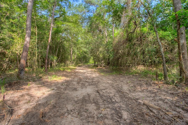 TBD Dahlia Rd, Huntsville, TX 77320 - photo 10