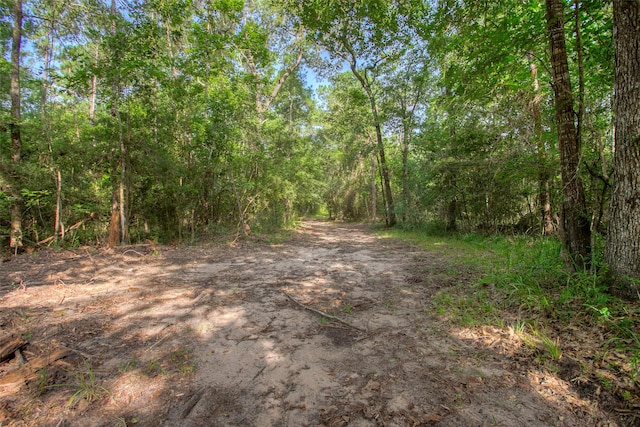TBD Dahlia Rd, Huntsville, TX 77320 - photo 11