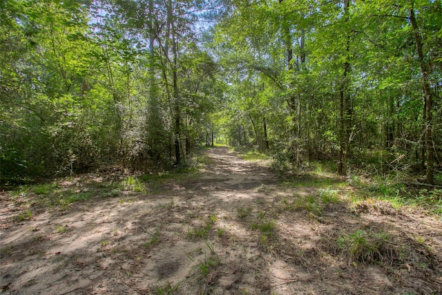 TBD Dahlia Rd, Huntsville, TX 77320 - photo 17
