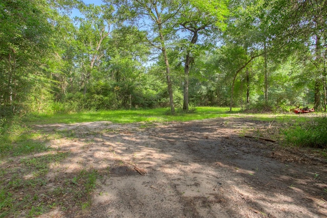 TBD Dahlia Rd, Huntsville, TX 77320 - photo 20