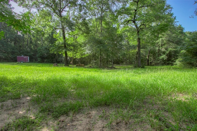 TBD Dahlia Rd, Huntsville, TX 77320 - photo 2