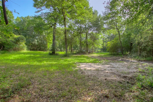 TBD Dahlia Rd, Huntsville, TX 77320 - photo 3