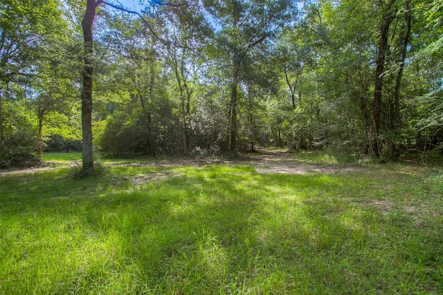 TBD Dahlia Rd, Huntsville, TX 77320 - photo 4