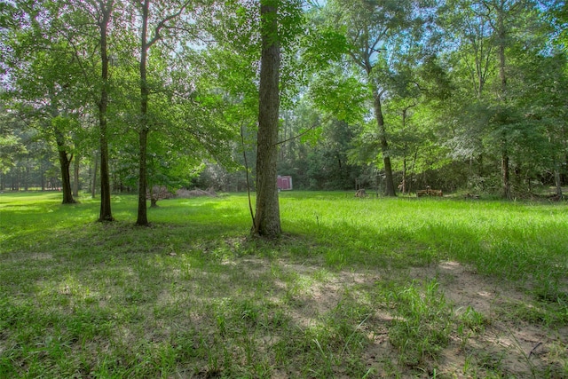 TBD Dahlia Rd, Huntsville, TX 77320 - photo 5