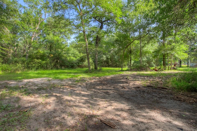 TBD Dahlia Rd, Huntsville, TX 77320 - photo 6