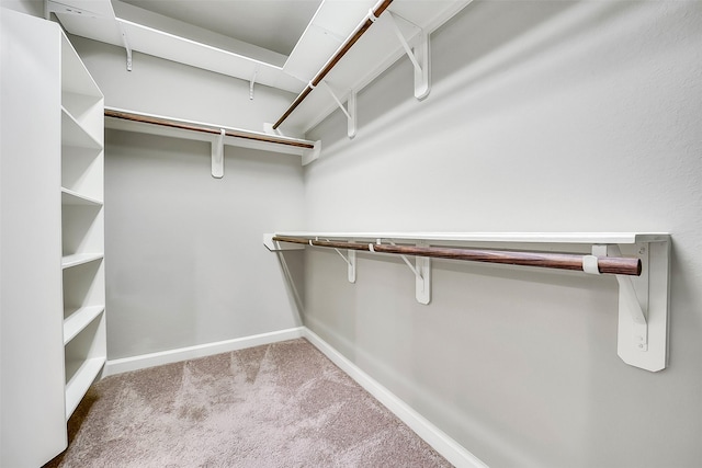 6222 Deer Run Xing, Katy, TX 77493 - walk in closet featuring carpet flooring and attic access