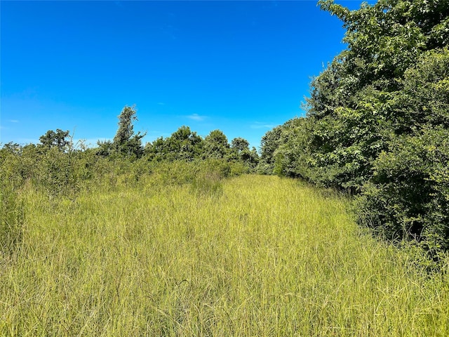 na Fcr 280, Oakwood, TX 75855 - photo 4
