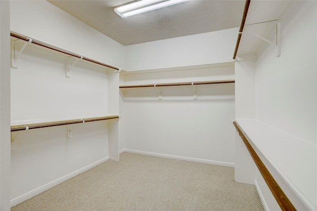 13508 Sweet Wind Ct, Pearland, TX 77584 - spacious closet with carpet floors
