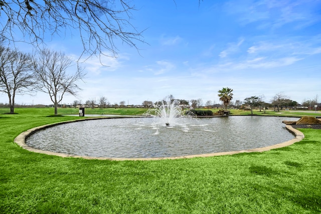 1727 Caldbeck Ln, Fresno, TX 77545 - surrounding community featuring a lawn and a water view