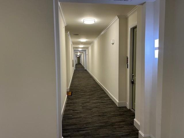 300 St Joseph Pkwy Unit 116, Houston, TX 77002 - hallway with crown molding and dark wood-style flooring