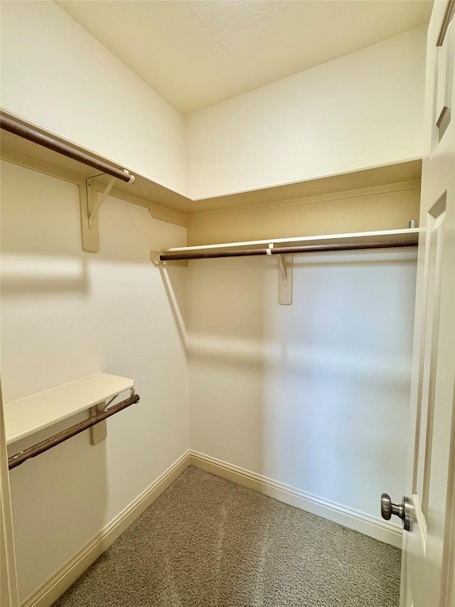8110 Hideaway Run Way, Spring, TX 77389 - spacious closet featuring carpet floors