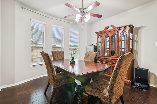 3909 Desert Zinnia Ct, Manvel, TX 77578