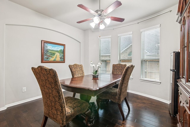 3909 Desert Zinnia Ct, Manvel, TX 77578