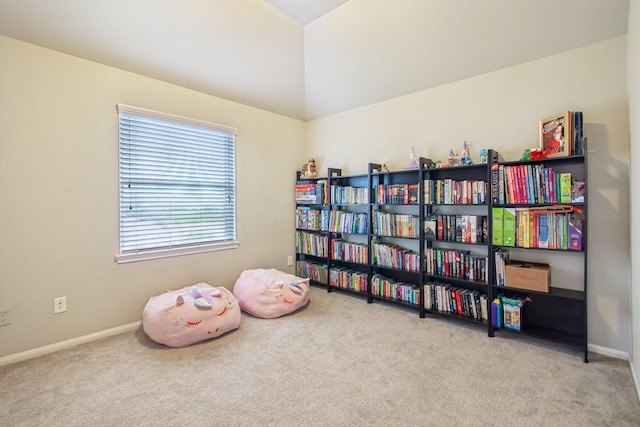 3909 Desert Zinnia Ct, Manvel, TX 77578