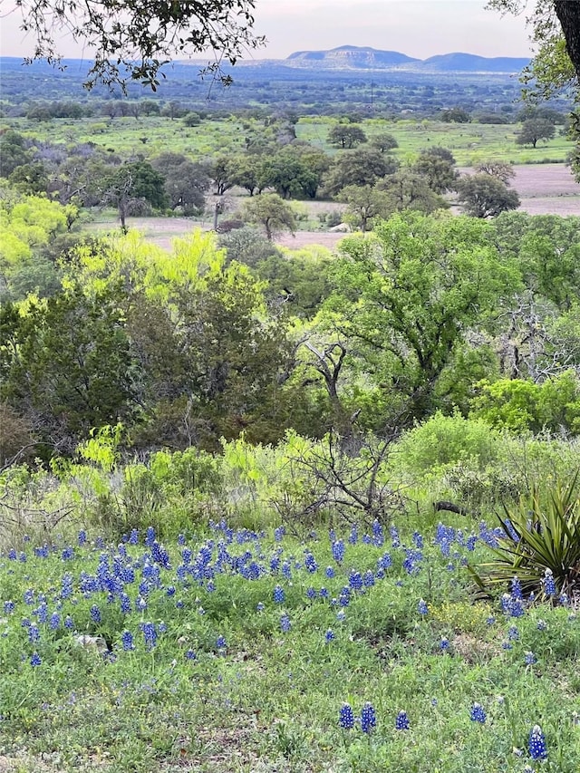 700 Crownover Ln, Round Mountain, TX 78663 - photo 15