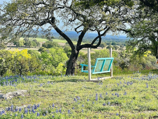 700 Crownover Ln, Round Mountain, TX 78663 - photo 16