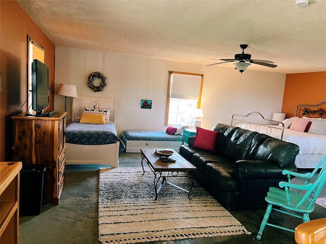 700 Crownover Ln, Round Mountain, TX 78663 - photo 4