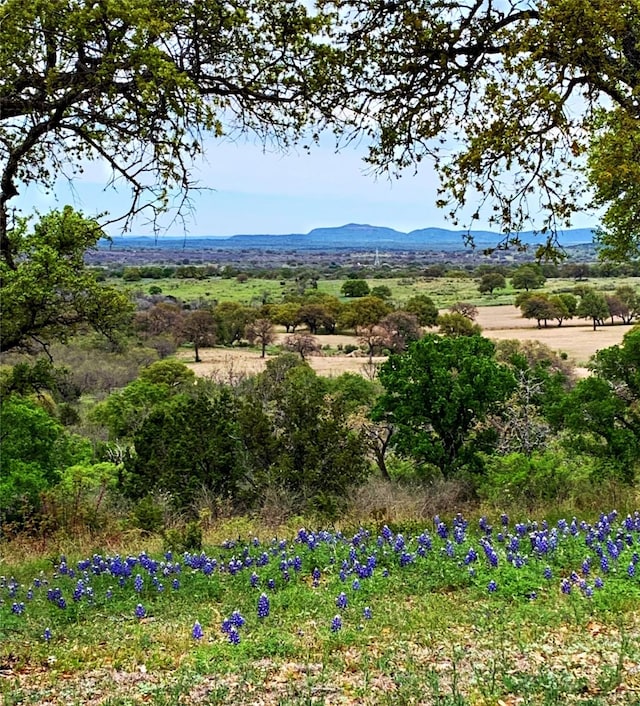 700 Crownover Ln, Round Mountain, TX 78663 - photo 17