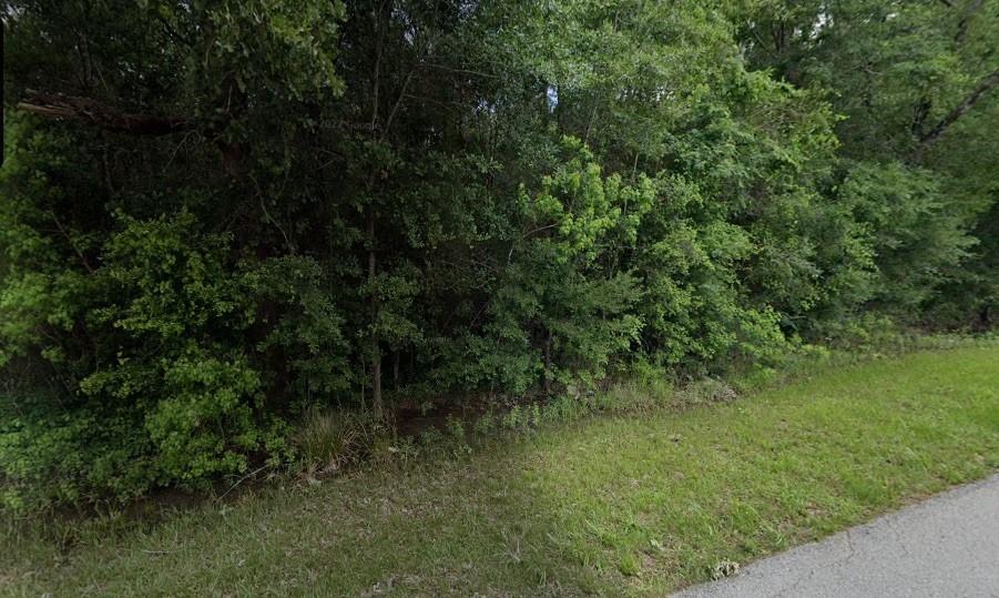 TBD Old Highway 105 E, Conroe, TX 77301