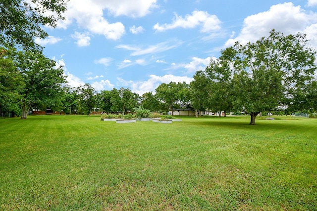 10725 Leslie Ln, Manvel, TX 77578 - photo 7