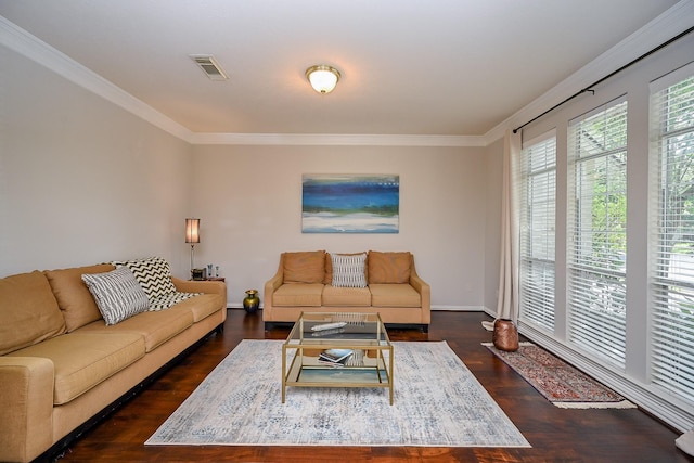 806 Spring Mist Ct, Sugar Land, TX 77479 - living room with crown molding and dark wood-style flooring