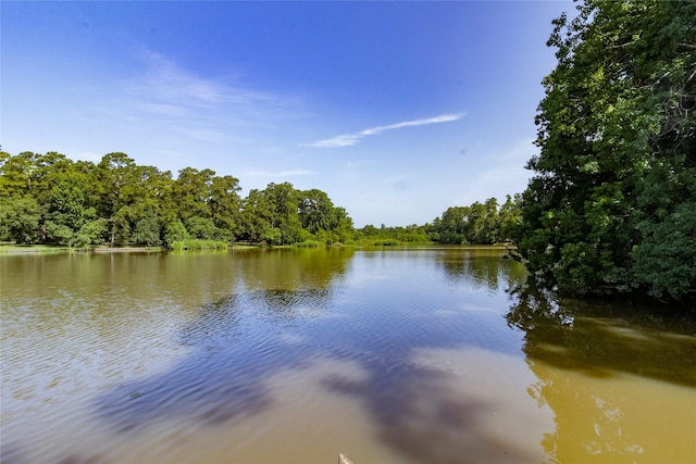 15823 Stagecoach Rd, Stagecoach, TX 77355 - water view with a forest