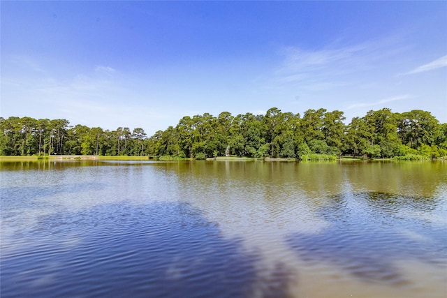 15823 Stagecoach Rd, Stagecoach, TX 77355 - water view featuring a forest