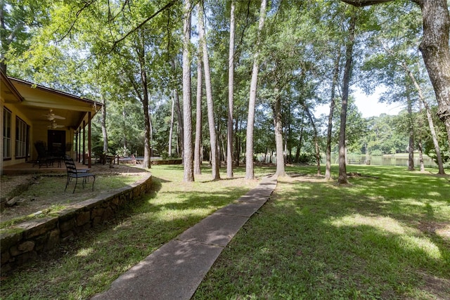 15823 Stagecoach Rd, Stagecoach, TX 77355 - view of grassy yard with ceiling fan and a patio area