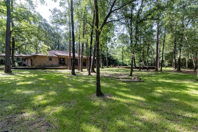 15823 Stagecoach Rd, Stagecoach, TX 77355 - view of green lawn