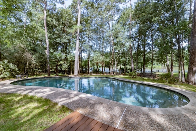 15823 Stagecoach Rd, Stagecoach, TX 77355 - swimming pool featuring view of wooded area