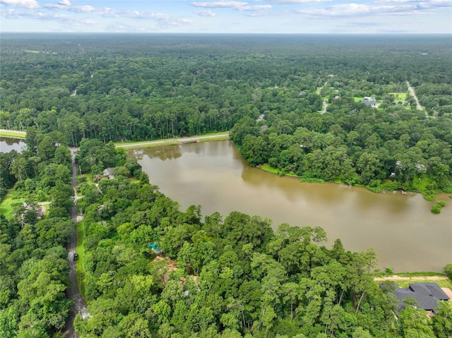 15823 Stagecoach Rd, Stagecoach, TX 77355 - aerial view of a large body of water