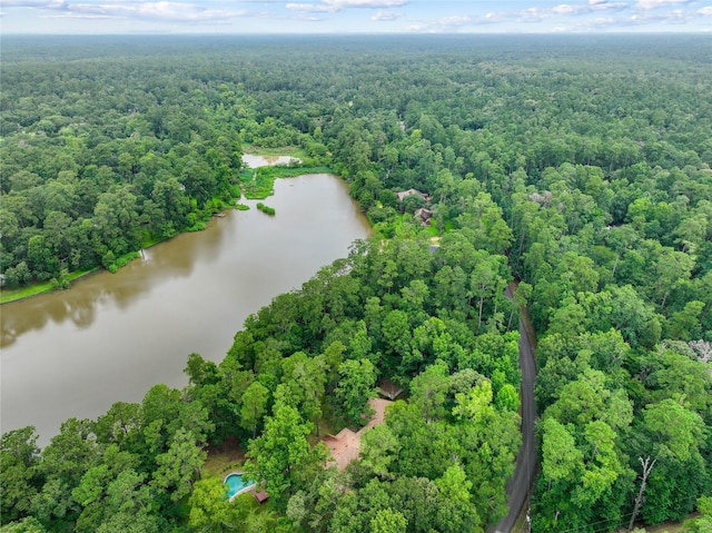 15823 Stagecoach Rd, Stagecoach, TX 77355 - bird's eye view of a heavily wooded area and a nearby body of water