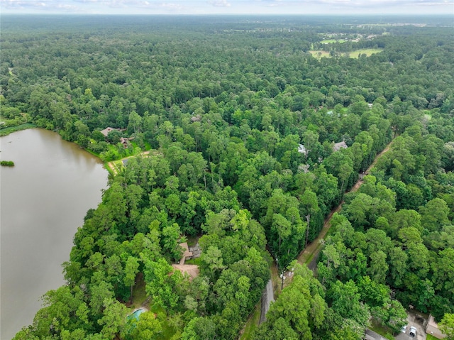 15823 Stagecoach Rd, Stagecoach, TX 77355 - aerial view of a forest and a nearby body of water