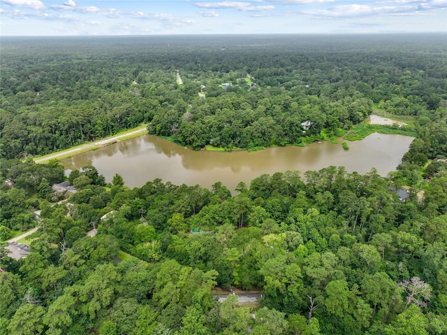 15823 Stagecoach Rd, Stagecoach, TX 77355 - drone / aerial view of a heavily wooded area and a large body of water