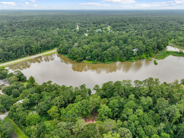 15823 Stagecoach Rd, Stagecoach, TX 77355 - drone / aerial view of a heavily wooded area and a nearby body of water