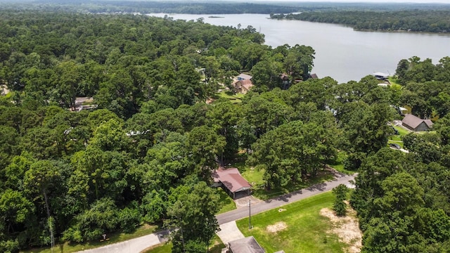 31 N Lakeview Dr, Point Blank, TX 77364 - view of property location featuring a large body of water