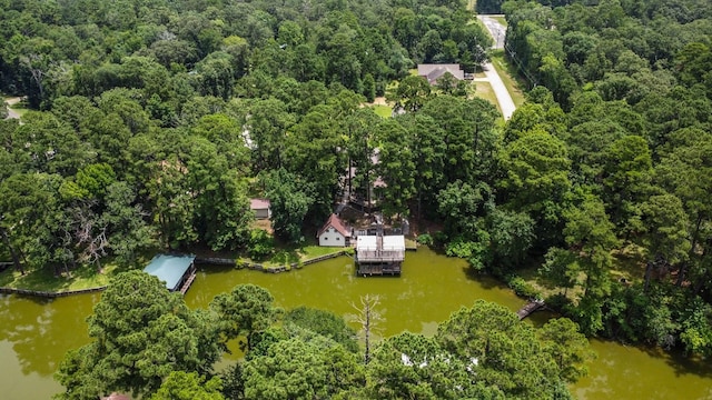 31 N Lakeview Dr, Point Blank, TX 77364 - view of property location with a nearby body of water