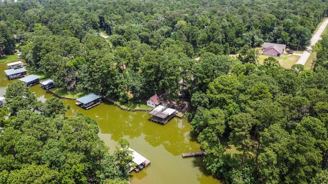 31 N Lakeview Dr, Point Blank, TX 77364 - aerial overview of property's location featuring a heavily wooded area and a large body of water