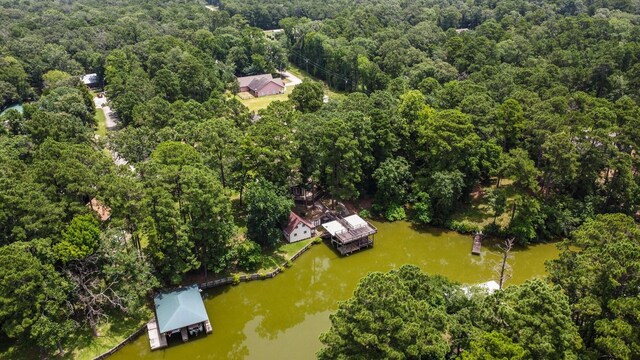 31 N Lakeview Dr, Point Blank, TX 77364 - view of property location featuring a large body of water and a heavily wooded area