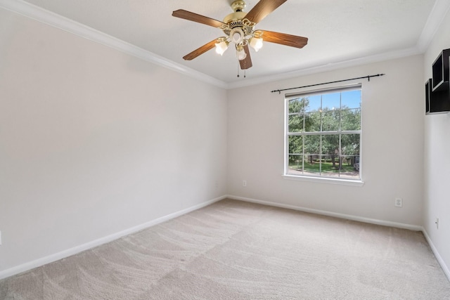 4106 Freedom Tree Dr, Missouri City, TX 77459 - photo 30