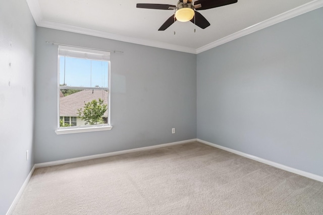 4106 Freedom Tree Dr, Missouri City, TX 77459 - photo 24