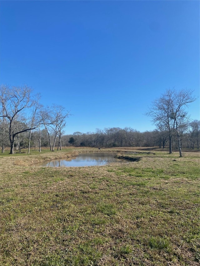 2902 Bayou View Ct, Richwood, TX 77515 - photo 2