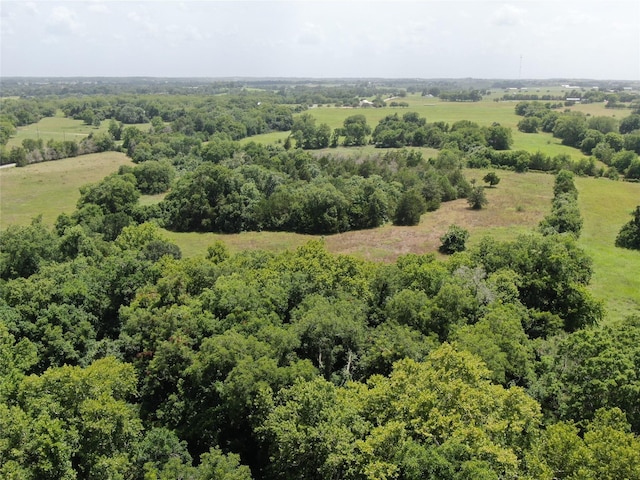 1399 Star Hill Rd, New Ulm, TX 78950 - photo 3