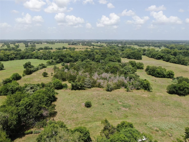 1399 Star Hill Rd, New Ulm, TX 78950 - photo 4