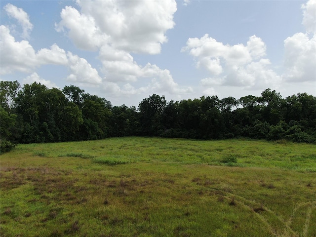 1399 Star Hill Rd, New Ulm, TX 78950 - photo 6
