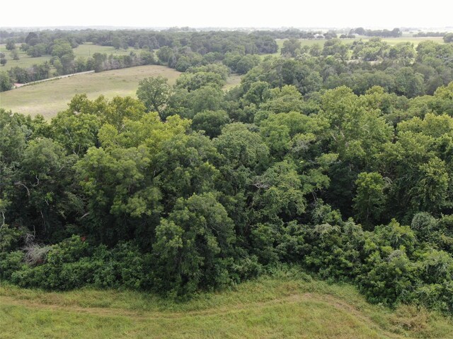 1399 Star Hill Rd, New Ulm, TX 78950 - photo 8