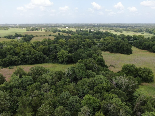 1399 Star Hill Rd, New Ulm, TX 78950 - photo 25